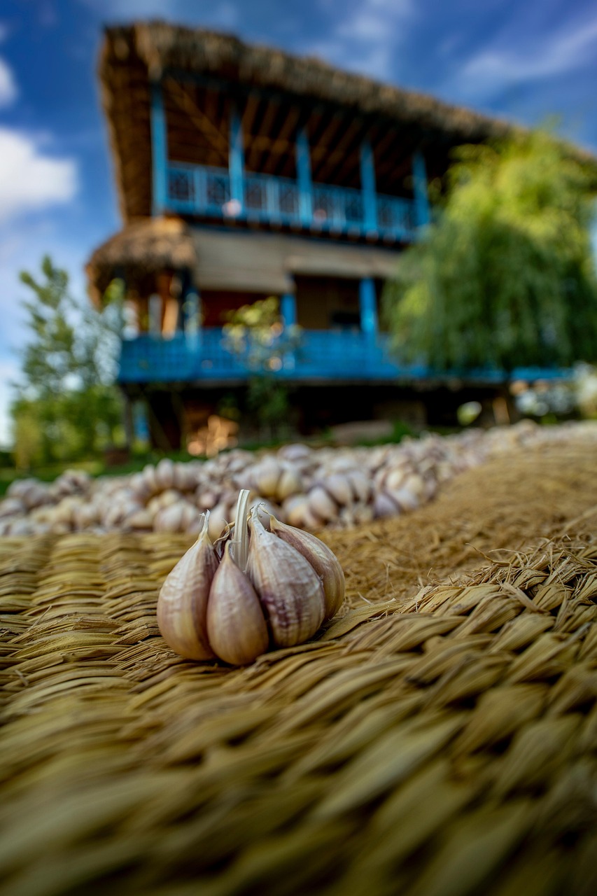 Best Eco-Lodges in National Parks