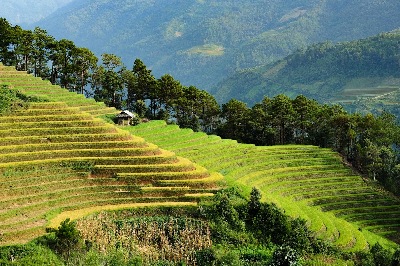 Sustainable travel mission