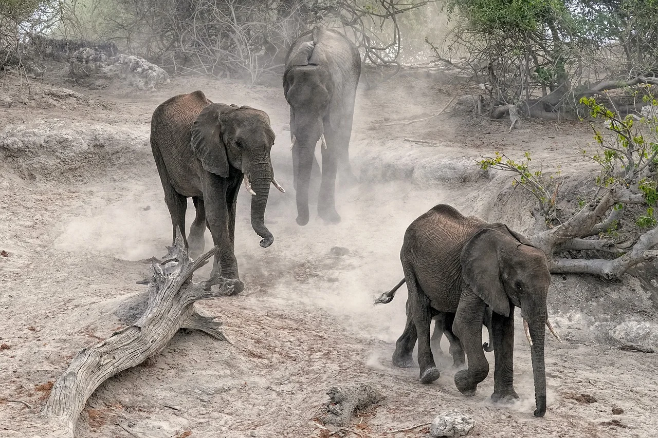 Eco-Friendly Travel Photography: Capturing Memories Sustainably