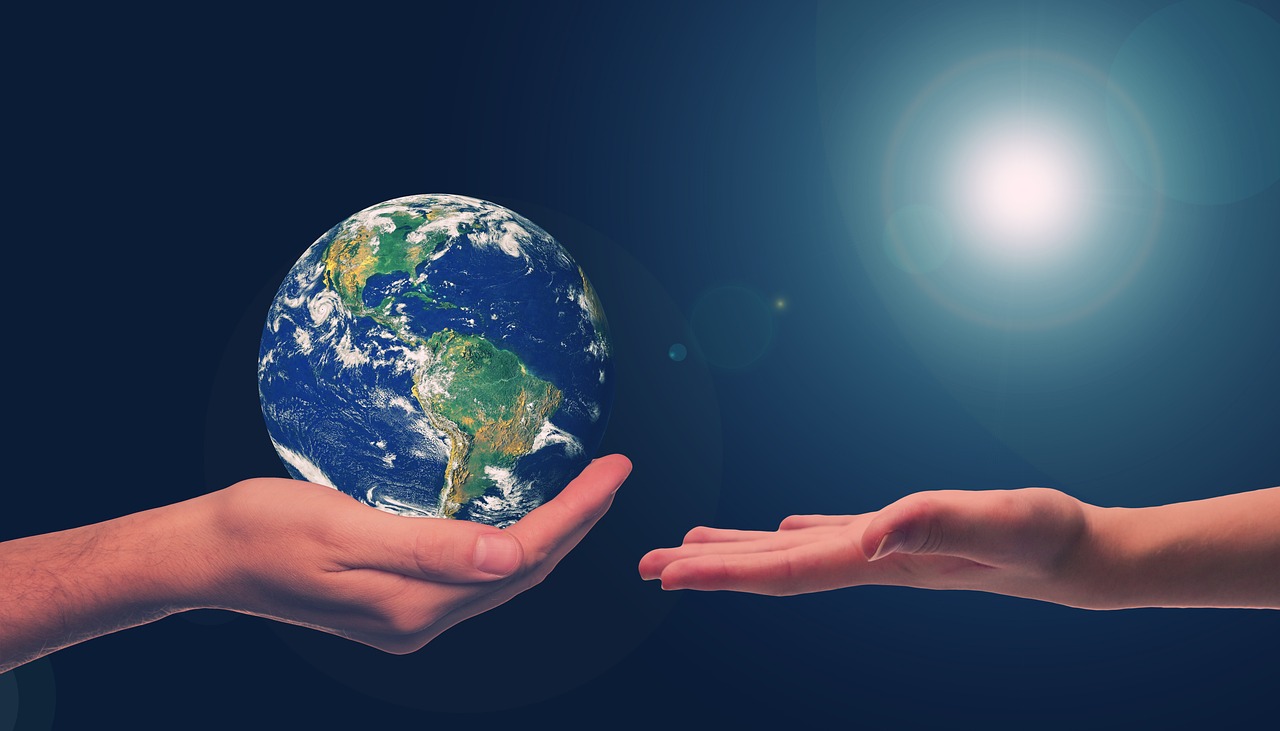 Carbon-Neutral Airlines 2025 Guide