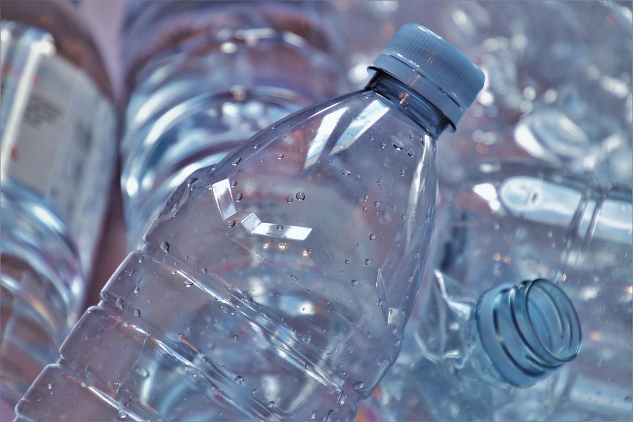 Sustainable Travel Habits You Can Start Today